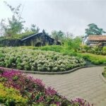 “romantisme Malam Di Farm House Lembang”
