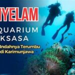 “serunya Snorkeling Di Laut Jepara”