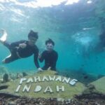 Spot Diving Pulau Pahawang Lampung