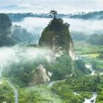 Studi Biodiversitas Ngarai Sianok
