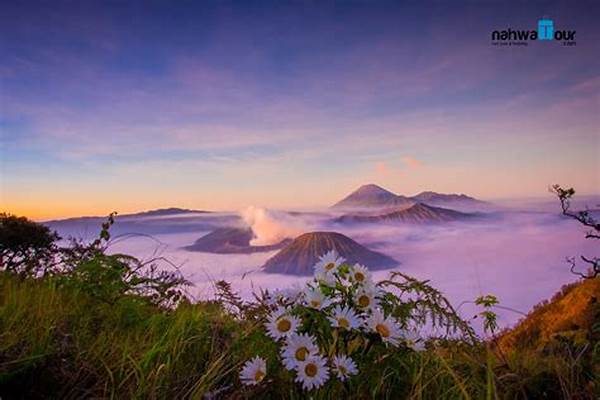 Waktu Terbaik Menuju Bromo Sunrise