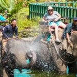 Wisata Edukasi Satwa Liar Bersama Keluarga