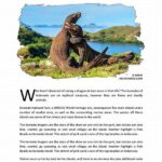 Contoh Teks Deskripsi Taman Nasional Komodo Bahasa Inggris