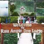 Diving Spektakuler Di Raja Ampat