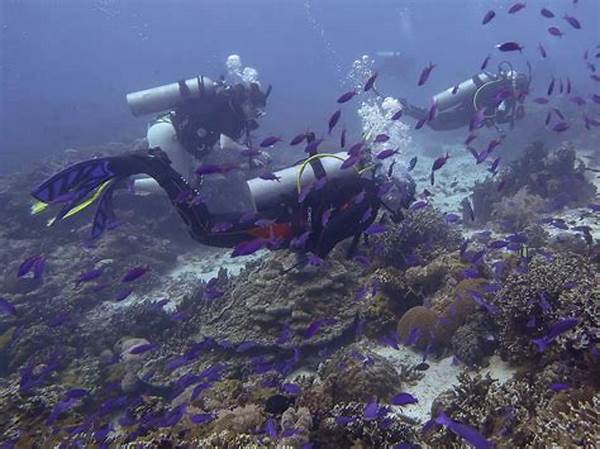 Eksplorasi Karang Apo Island Diving