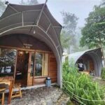 Glamping Dengan Pemandangan Alam Ciwidey