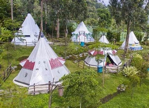 Glamping Mewah Dan Nyaman Di Ciwidey