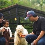 Hiburan Edukatif Keluarga Di Bogor