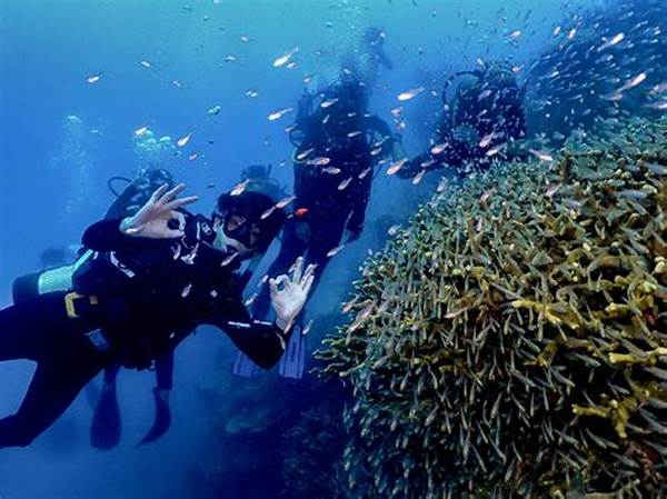 Jelajah Keindahan Bawah Laut