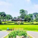 Kebun Raya Bogor Untuk Keluarga