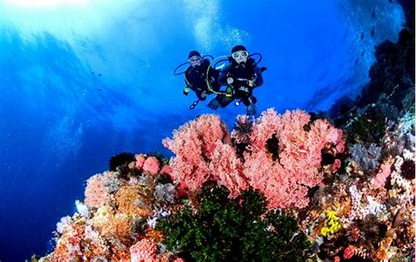 Keindahan Alam Bawah Laut Komodo