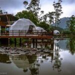 “keunikan Camping Glamping Ciwidey”