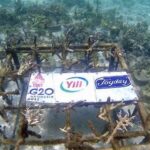 Konservasi Terumbu Karang Komodo