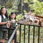 Liburan Edukasi Anak Bandung Sabtu Minggu