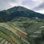 Panorama Perbukitan Dieng Wonosobo