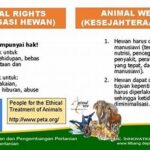 Sosialisasi Hak-hak Hewan Melalui Media