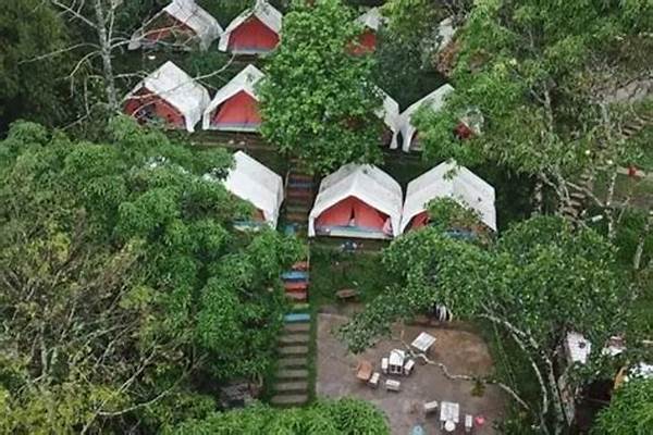 Spot Foto Instagramable Malino Terbaru