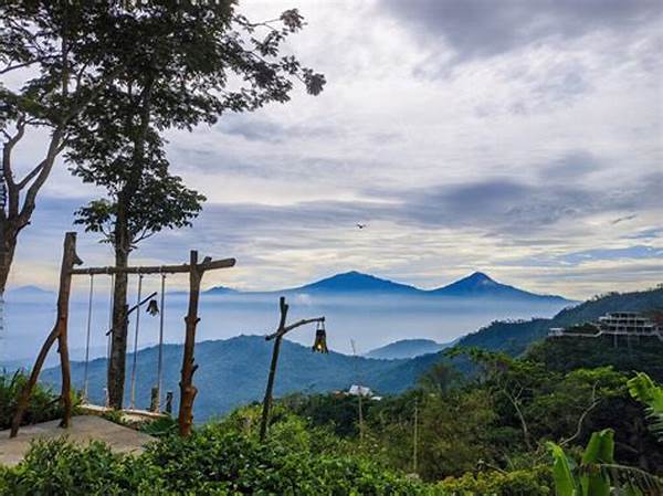 Spot Instagramable Kebun Teh Nglinggo