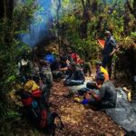 Aktivitas Seru Di Gunung Leuser
