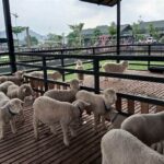 Area Berfoto Populer Di Rumpin