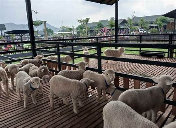 Area Berfoto Populer Di Rumpin