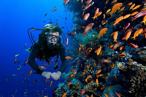 Diving Spot Terfavorit Di Indonesia