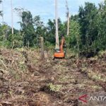 Ekspedisi Rawa Gambut Aceh