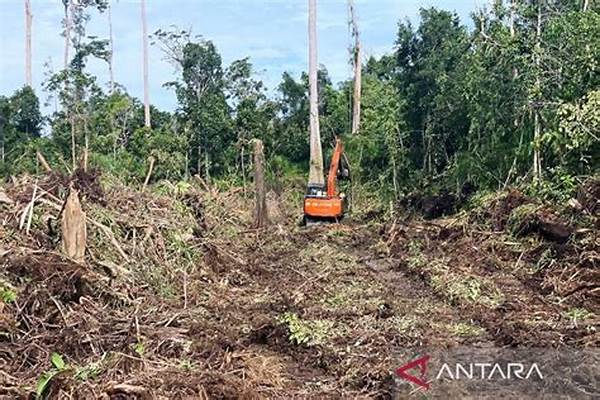 Ekspedisi Rawa Gambut Aceh