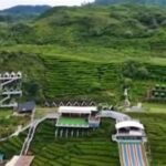 Eksplorasi Hutan Ciwidey Bandung