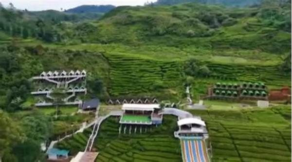 Eksplorasi Hutan Ciwidey Bandung