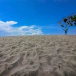 “gumuk Pasir Parangkusumo Unik”