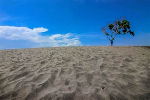 “gumuk Pasir Parangkusumo Unik”