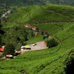 Jelajah Wisata Sejarah Brebes