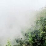 Keheningan Pagi Yang Menakjubkan