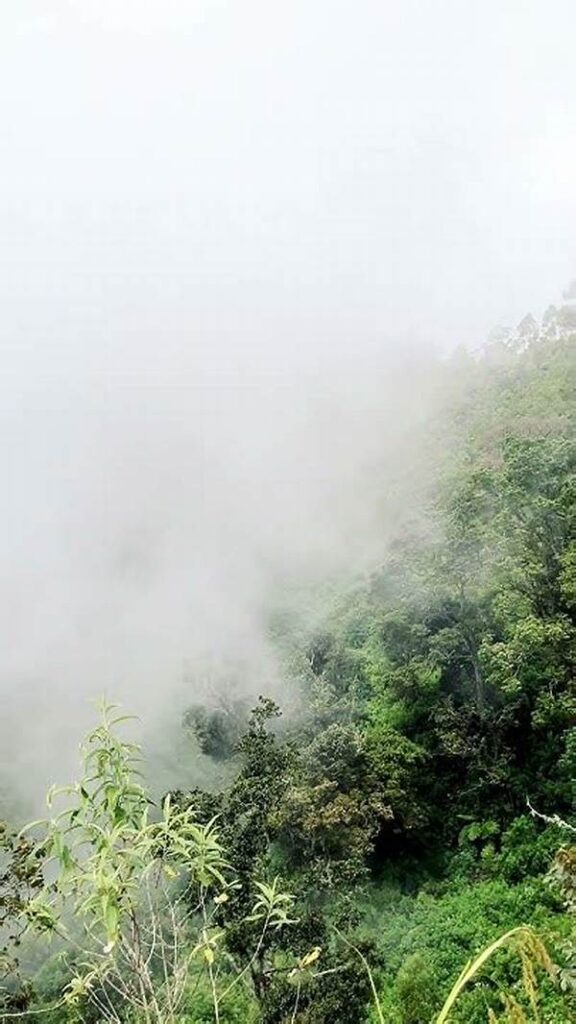 Keheningan Pagi Yang Menakjubkan