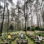 “keindahan Alam Orchid Forest Cikole”