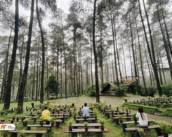 “keindahan Alam Orchid Forest Cikole”