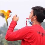 Komunitas Penggemar Layang-layang Depok