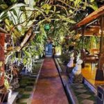 Lokasi Makan Keluarga Di Pusat Solo