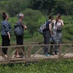 Panorama Indah Kebun Teh Wonosari