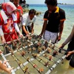 Pelestarian Terumbu Karang Kupang