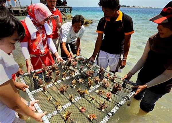 Pelestarian Terumbu Karang Kupang