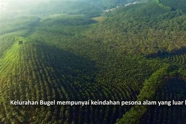 Pesona Alami Hutan Karet Sigro Pati
