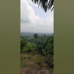 Relaksasi Di Puncak Bukit