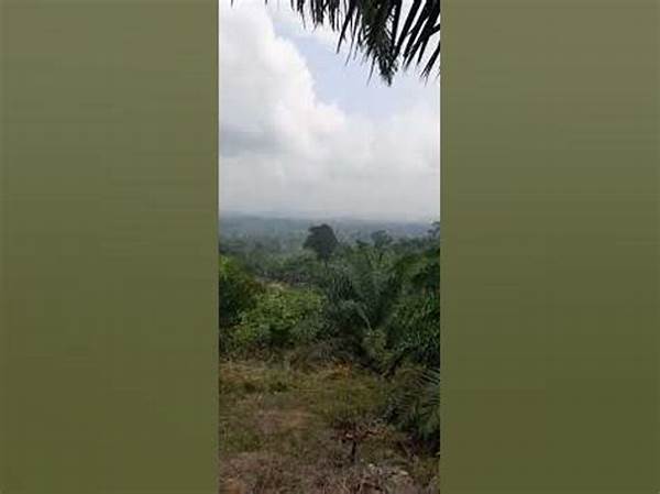 Relaksasi Di Puncak Bukit