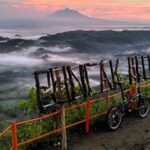 Tempat Wisata Terbaru Di Bantul
