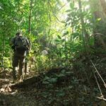 Tips Aman Menjelajahi Hutan Wanayasa