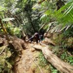 Tips Mendaki Hutan Pupuan Aman