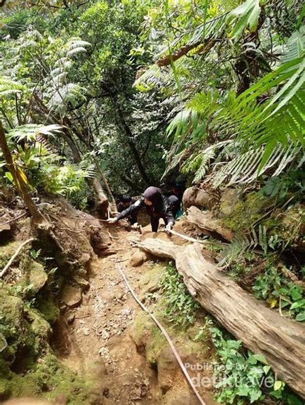 Tips Mendaki Hutan Pupuan Aman