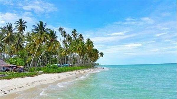 Aktivitas Seru Di Pantai Tropis Indonesia